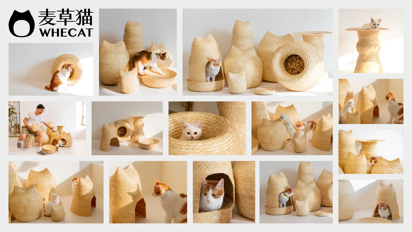 WHECAT – 1.jpg