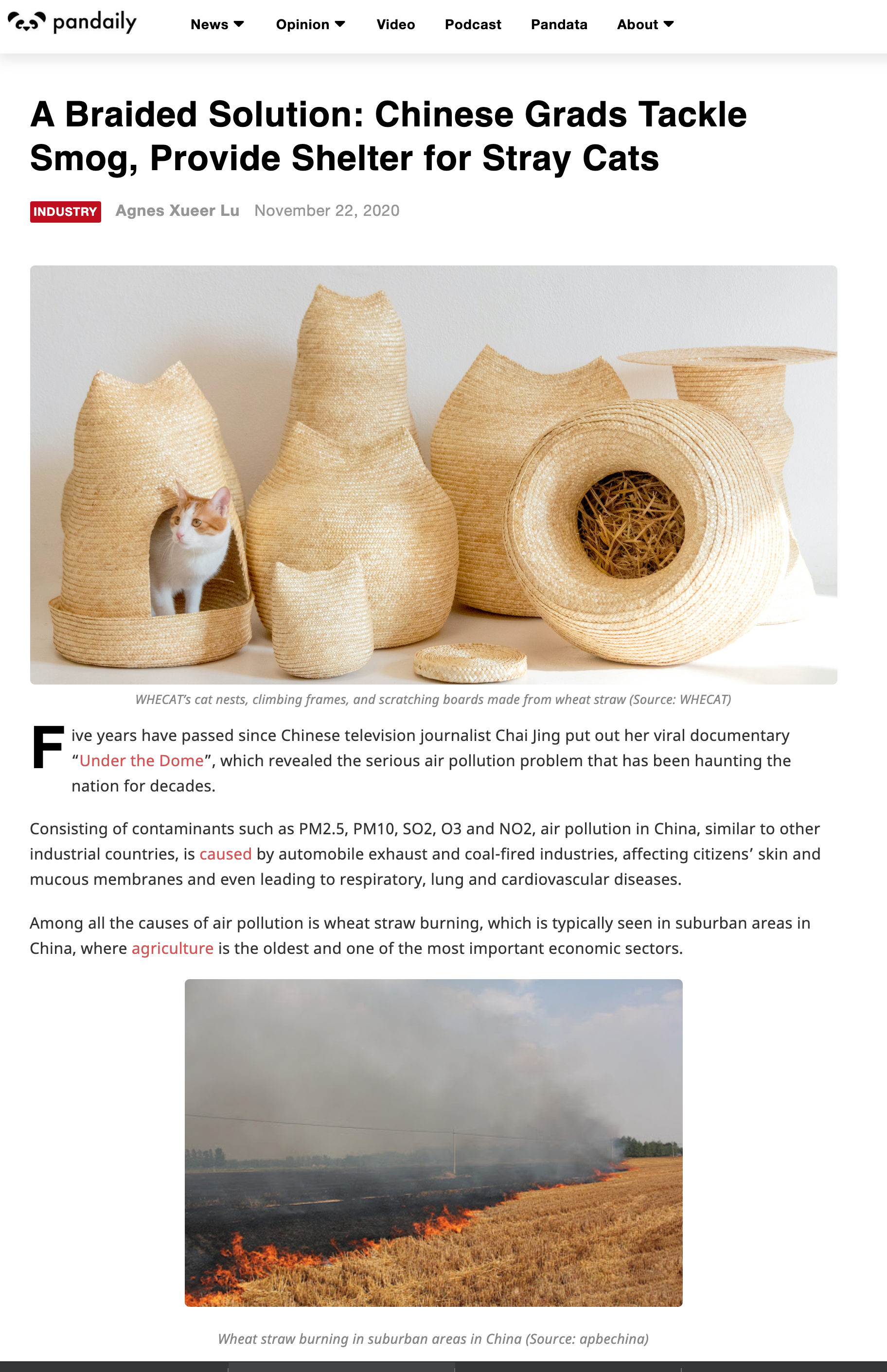 A Braided Solution: Chinese Grads Tackle Smog, Provide Shelter for Stray Cats